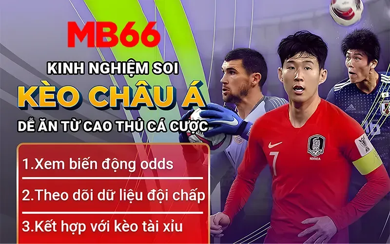 Kèo châu Á – Cách Đọc Chuẩn Và 3 Kinh Nghiệm Soi Kèo Dễ Thắng Cược